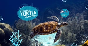 Officina Naturae in difesa delle Tartarughe marine